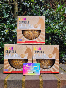 Likit Granola Stall Ball- Gingerbread