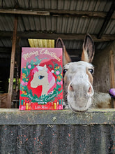 Load image into Gallery viewer, Little Rider Pony Advent Calendar