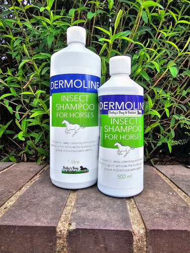 Dermoline Insect Shampoo