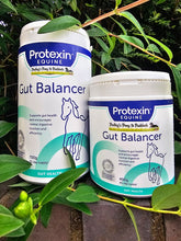 Load image into Gallery viewer, Protexin Gut Balancer