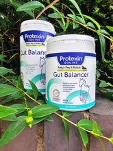 Load image into Gallery viewer, Protexin Gut Balancer