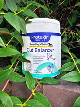 Load image into Gallery viewer, Protexin Gut Balancer