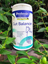 Load image into Gallery viewer, Protexin Gut Balancer