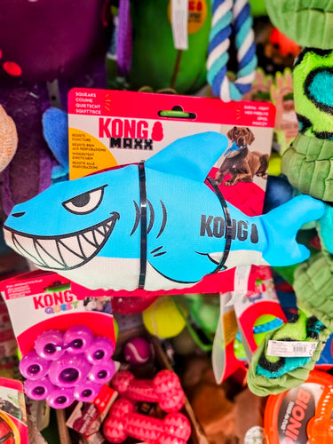 Kong Maxx Shark