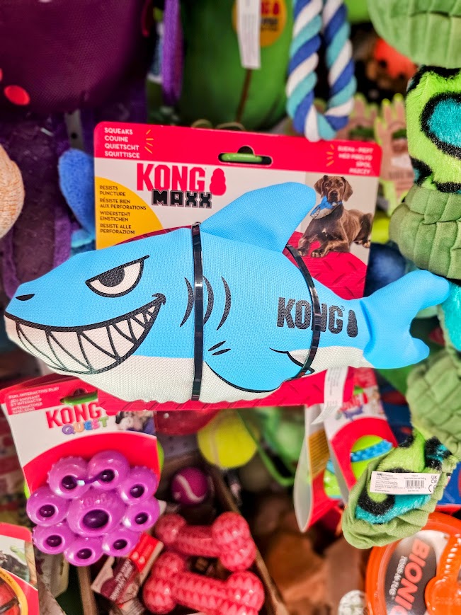 Kong Maxx Shark