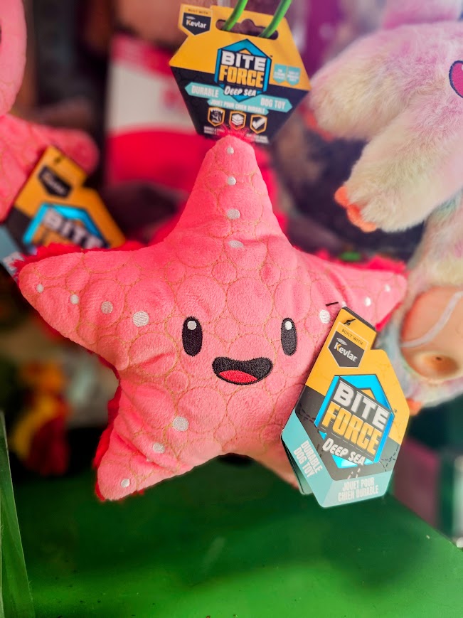 BiteForce Deep Sea Starfish Dog Toy