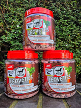 Load image into Gallery viewer, Leoveties Carrot &amp; Cold Pressed Linseed Treats