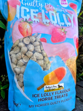 Load image into Gallery viewer, Guilty Pleasures Ice Lolly Horse Treats