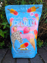 Load image into Gallery viewer, Guilty Pleasures Ice Lolly Horse Treats