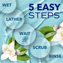 Load image into Gallery viewer, TropiClean SPA Blueberry Facial