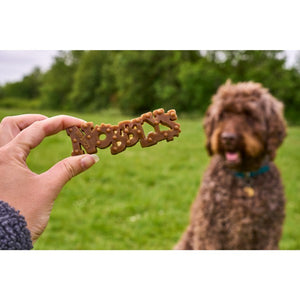 Nobblys Dental Dog Chews