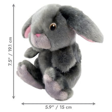 Load image into Gallery viewer, Kong Toughz Bunny