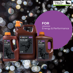 Foran Equine Pre-Fuel Liquid