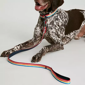 Joules Rainbow Stripe Dog Lead