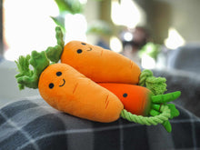 Load image into Gallery viewer, Tugga Carrots