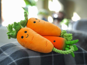 Tugga Carrots