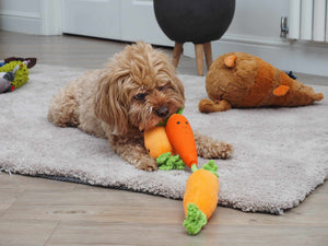 Tugga Carrots