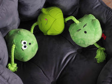 Load image into Gallery viewer, Tugga Sprouts Dog Toy