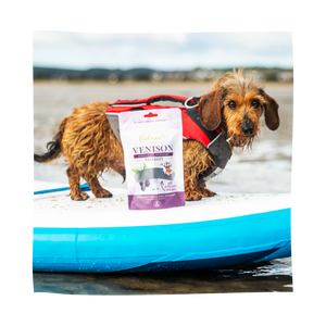 Eden Pet Foods Venison, Aniseed & Blackberry Sausages