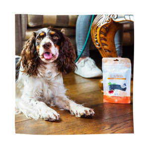Eden Pet Foods Lamb, Cranberry & Mint Sausages