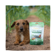 Load image into Gallery viewer, Eden Pet Foods Chicken, Sweet Potato &amp; Chamomile Sausages