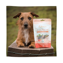 Load image into Gallery viewer, Eden Pet Foods Salmon, Apple &amp; Spinach Sausages