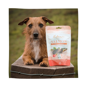 Eden Pet Foods Salmon, Apple & Spinach Sausages
