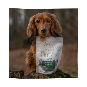 Eden Pet Foods Chicken & Thyme Training Treats