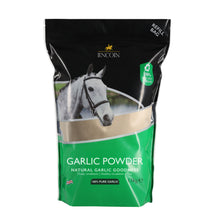 Load image into Gallery viewer, Lincoln Garlic Powder