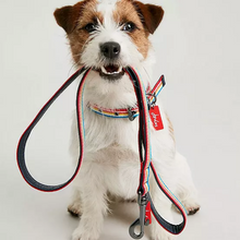 Load image into Gallery viewer, Joules Rainbow Stripe Dog Lead