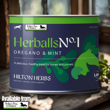 Load image into Gallery viewer, Herballs N°. 1 Oregano &amp; Mint