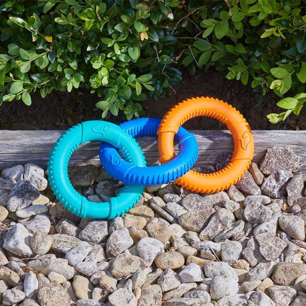 Triple Links Dog Toy