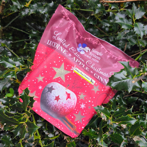 Simple Systems Christmas Brix