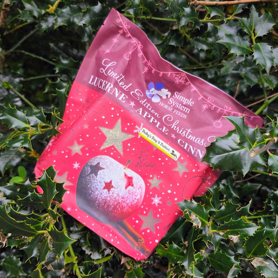 Simple Systems Christmas Brix