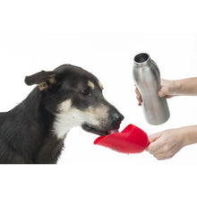 Load image into Gallery viewer, Kong H2O Stainless Steel Dog Water Bottle