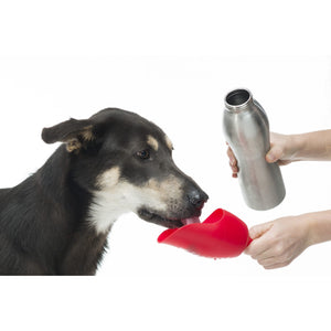 Kong H2O Stainless Steel Dog Water Bottle