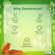 Load image into Gallery viewer, Pawfect Dentamust Himalayan Cheese Chew with Aloe, Honey &amp; Green Tea
