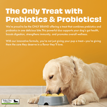 Load image into Gallery viewer, Pawfect Yogurt Melties Pre and Probiotic Dog Treats with Pumpkin, Beetroot, Cabbage &amp; Fennel Seeds