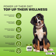 Load image into Gallery viewer, Pawfect Allergy Relief Food Topper