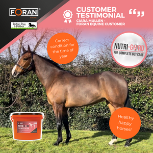 Foran Equine Nutri-Gard