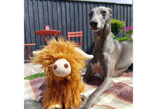 Load image into Gallery viewer, Ancol Heritage Fergus Highland Cow