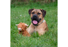 Load image into Gallery viewer, Ancol Heritage Fergus Highland Cow