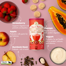 Load image into Gallery viewer, Pawfect Yogurt Melties Pre and Probiotic Dog Treats with Strawberry, Apple, Papaya &amp; Burdock Root