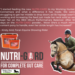 Foran Equine Nutri-Gard