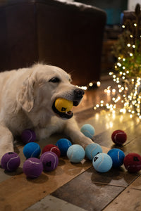 Petface Tennis Ball Christmas Tree