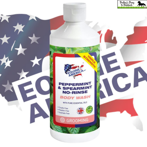 Equine America Peppermint & Spearmint No-rinse Body Wash