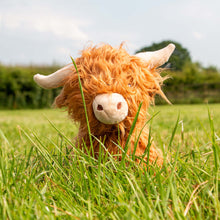 Load image into Gallery viewer, Ancol Heritage Fergus Highland Cow