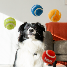 Load image into Gallery viewer, Kong Sport Softies Balls 3pk