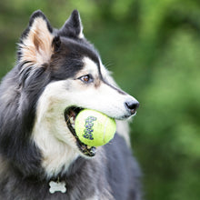 Load image into Gallery viewer, Kong Air Squeaker Tennis Ball (2Pk) Large