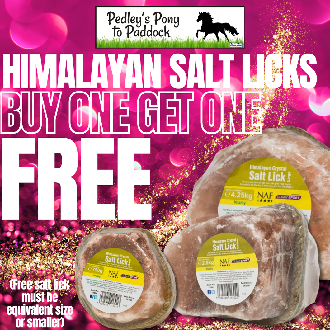 NAF Himalayan Salt Licks